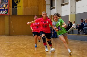 Die NSV Handballer und Handballerinnen hatten am Wochenende alle H&auml;nde voll zu tun