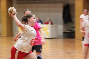 Die NSV Handballer und Handballerinnen hatten am Wochenende alle H&auml;nde voll zu tun