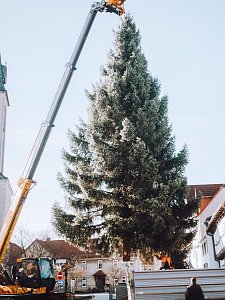 In Worbis steht Weihnachten schon vor der Tür