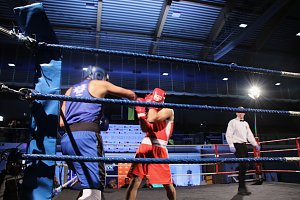 Boxgala in der Wiedigsburghalle