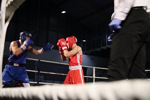 Boxgala in der Wiedigsburghalle