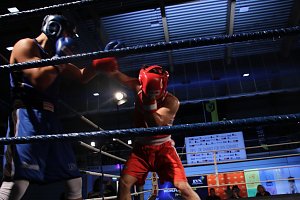 Boxgala in der Wiedigsburghalle