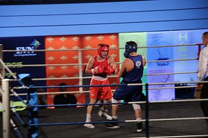 Boxgala in der Wiedigsburghalle