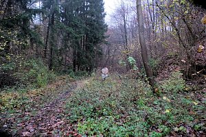 Peter Blei unterwegs im Urwald