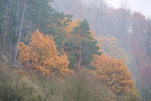 Peter Blei unterwegs im Urwald