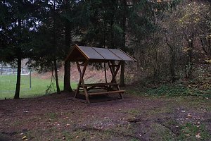 Peter Blei unterwegs im Urwald
