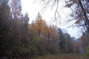 Peter Blei unterwegs im Urwald