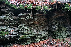 Peter Blei unterwegs im Urwald