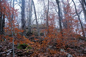 Peter Blei unterwegs im Urwald