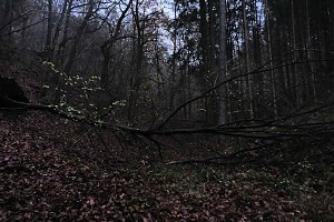 Peter Blei unterwegs im Urwald