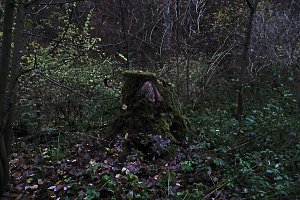 Peter Blei unterwegs im Urwald