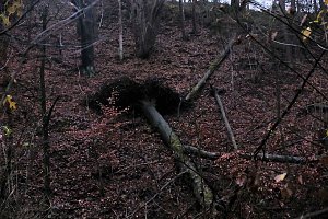 Peter Blei unterwegs im Urwald