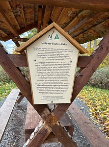 Neue Schilder an alten Nordh&auml;user B&auml;umen