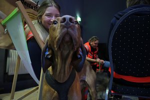 1. Nordh&auml;user Ehrenamtsmesse im Jugendclubhaus
