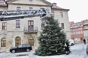 Gro&szlig;e Freude bei kleinen Wichteln - Kita Kinder schm&uuml;cken Weihnachtsbaum am Bad Langensalzaer Rathaus