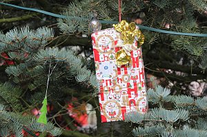 Gro&szlig;e Freude bei kleinen Wichteln - Kita Kinder schm&uuml;cken Weihnachtsbaum am Bad Langensalzaer Rathaus