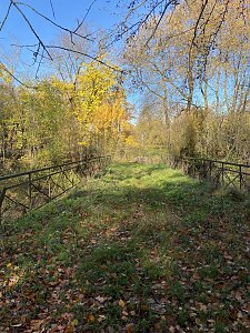 Der Hainleite-Wanderverein unterwegs im November 