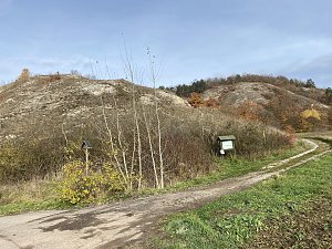 Der Hainleite-Wanderverein unterwegs im November 