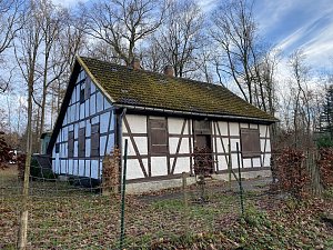 Der Hainleite-Wanderverein unterwegs im November 