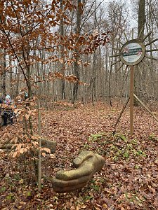 Der Hainleite-Wanderverein unterwegs im November 