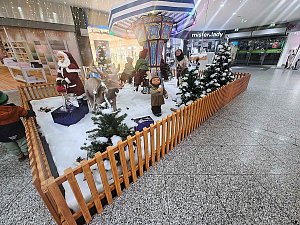 Peter Blei unterwegs im vorweihnachtlichen Nordhausen