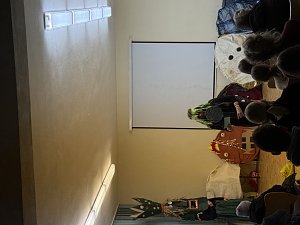 Gaja - ist sie noch zu retten?