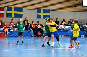 Handball Mini-WM
