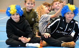 Handball Mini-WM