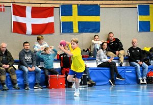 Handball Mini-WM