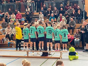Handball Mini-WM