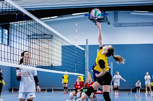 Kreisfinale Jugend trainiert f&uuml;r Olympia im Volleyball