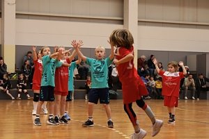 Handballdienst vom Wochenende