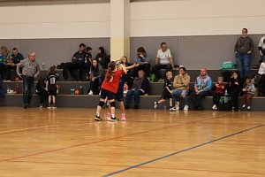 Handballdienst vom Wochenende