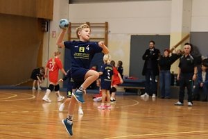 Handballdienst vom Wochenende