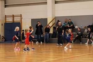 Handballdienst vom Wochenende