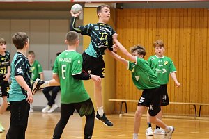 Handballdienst vom Wochenende