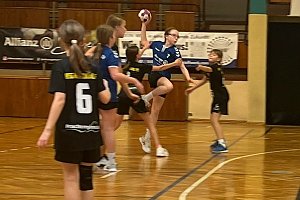 Handballdienst vom Wochenende