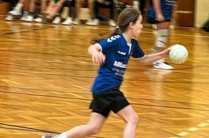 Handballdienst vom Wochenende