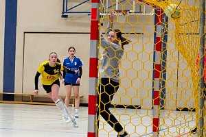 Handballdienst vom Wochenende