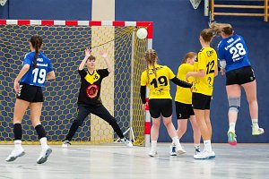 Handballdienst vom Wochenende