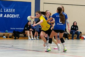 Handballdienst vom Wochenende