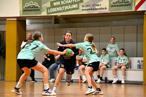 Handballdienst vom Wochenende