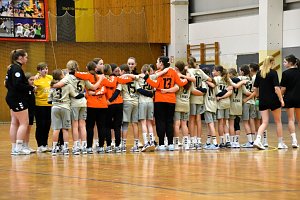 Handballdienst vom Wochenende