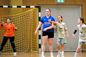 Handballdienst vom Wochenende