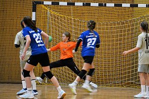 Handballdienst vom Wochenende