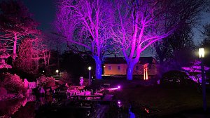 Die Lichterpoesie in Bad Langensalza ist er&ouml;ffnet