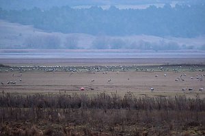 Peter Blei am Stausee Kelbra