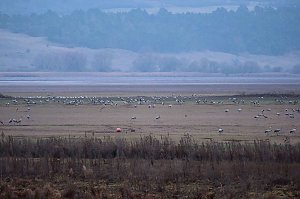 Peter Blei am Stausee Kelbra