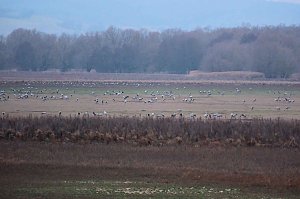 Peter Blei am Stausee Kelbra