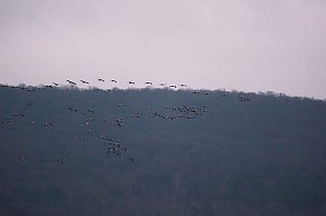 Peter Blei am Stausee Kelbra